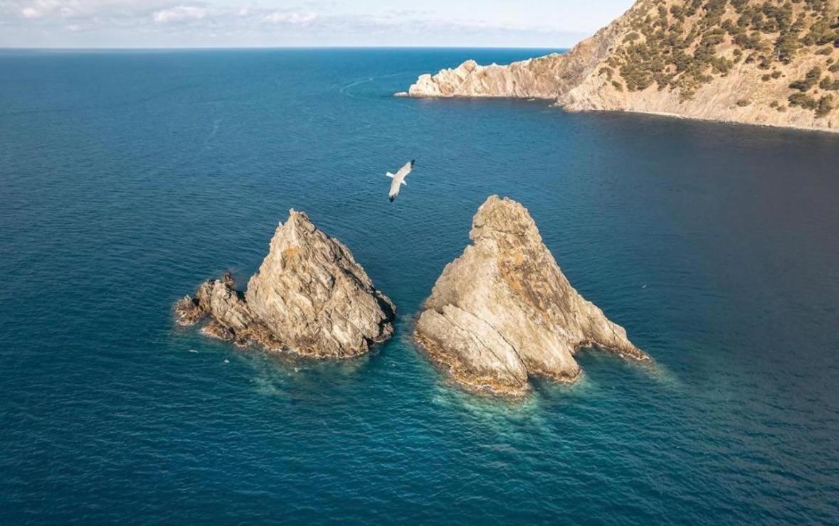 Appartement Pied Dans L'Eau ลาแซน-ซูร์-แมร์ ภายนอก รูปภาพ